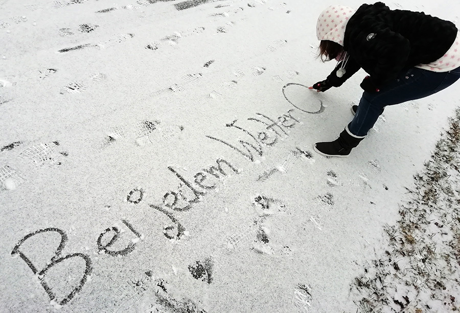 IMG 20190129 094458web