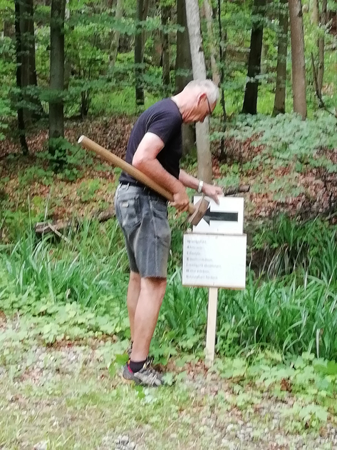 IMG 20180609 085717 1